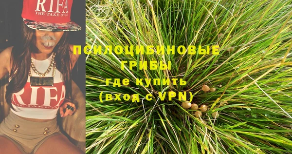 крисы Алексин