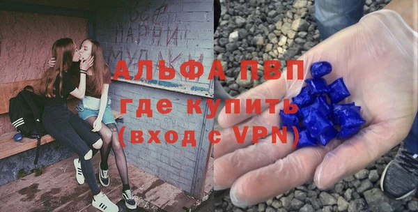крисы Алексин