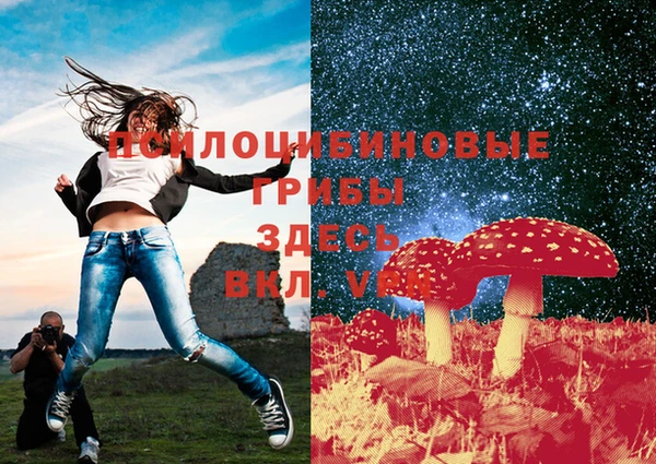 марки lsd Алексеевка