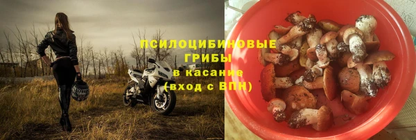 спиды Алзамай